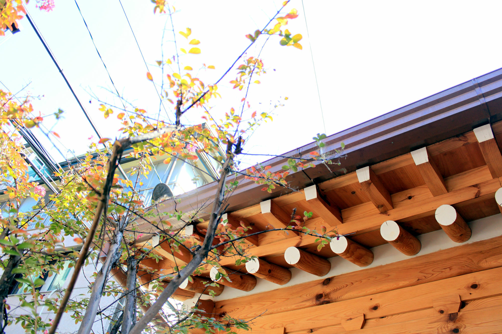 סיאול Hanok 24 Guesthouse Gyeongbokgung מראה חיצוני תמונה